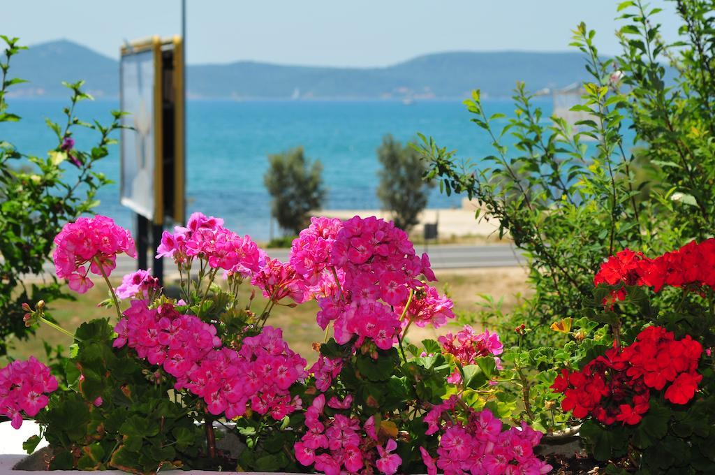 Guest House Ero Sukošan Dış mekan fotoğraf